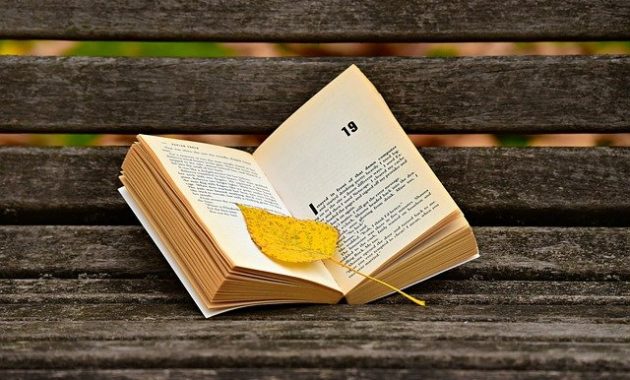 Pentingnya Membuat Awalan Cerpen yang Kamu Wajib Tahu