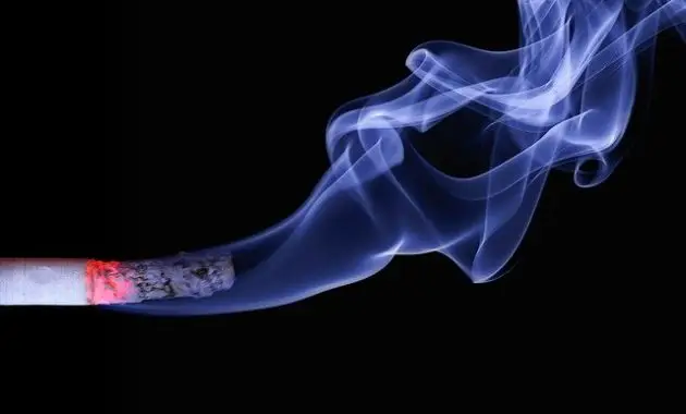 Alasan Mengapa Rokok Tetap Diproduksi Walaupun Berbahaya