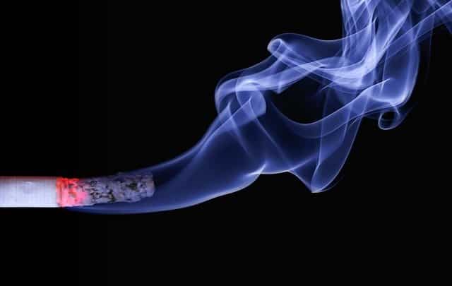 Alasan Mengapa Rokok Tetap Diproduksi Walaupun Berbahaya