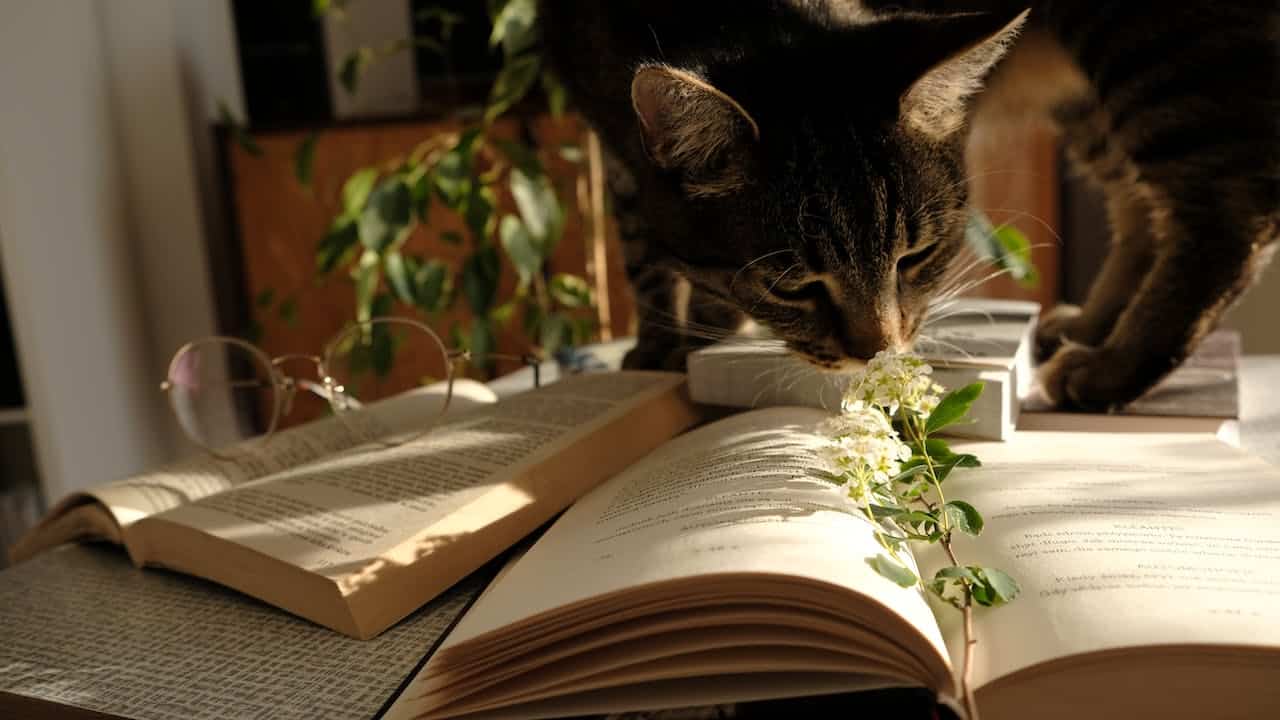 Cara Menulis Novel Horor yang Mencekam