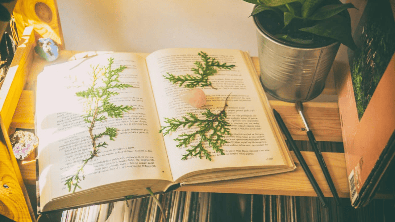 Langkah-Langkah Menulis Buku Fiksi yang Terstruktur dan Menarik