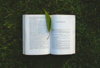 7 Risiko Menerbitkan Buku Tanpa ISBN