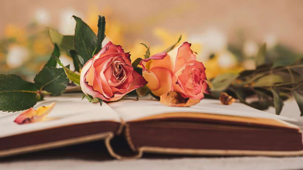 10+ Kriteria Penerbit Buku Profesional, Berkualitas, dan Tepercaya