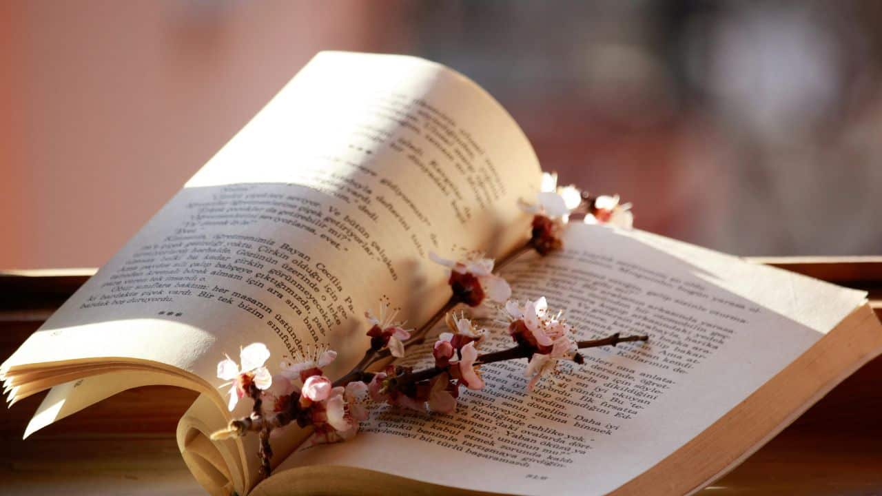 4 Jenis Karya Sastra yang Perlu Kamu Ketahui