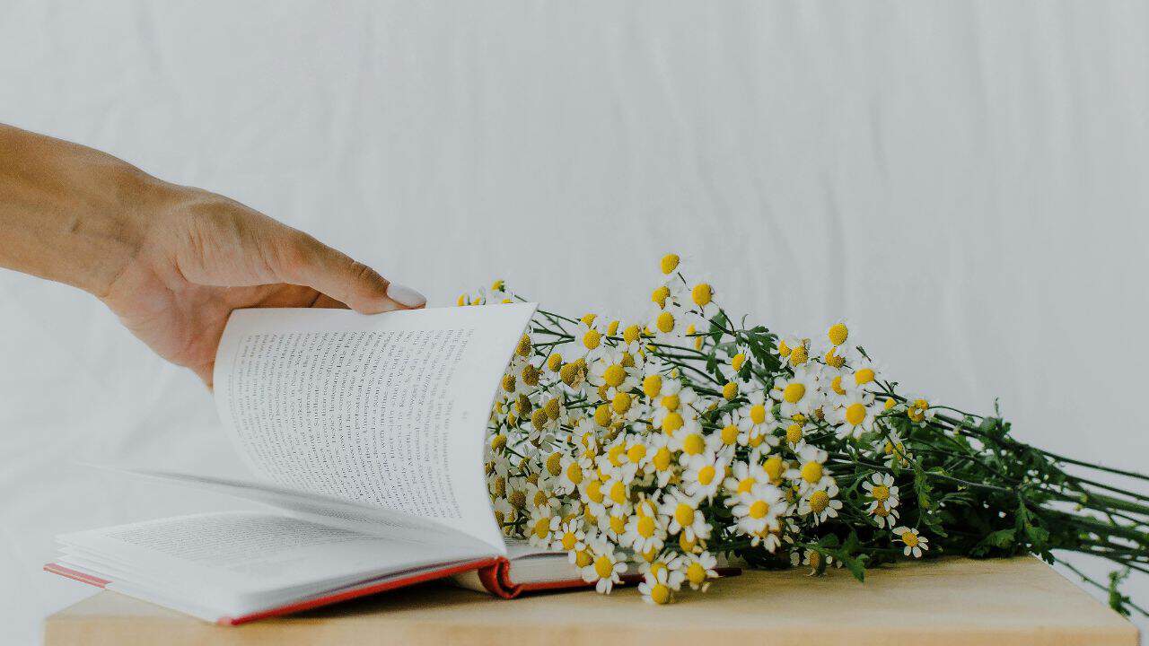 4 Jenis Karya Sastra yang Perlu Kamu Ketahui