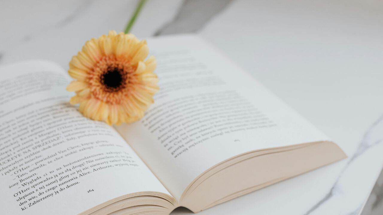 5 Fungsi Karya Sastra yang Perlu Pecinta Literasi Pahami