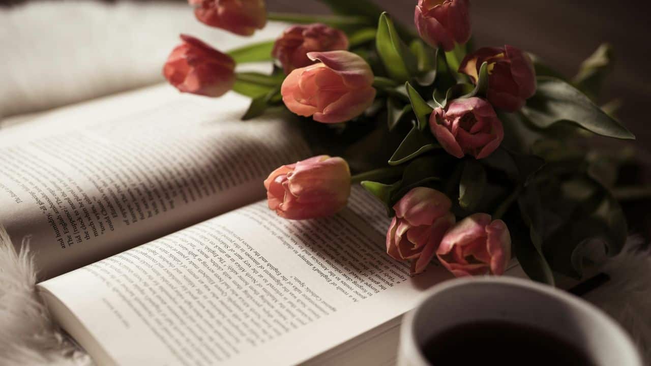 8 Cara Menemukan Ide Cerita Novel yang Perlu Penulis Ketahui