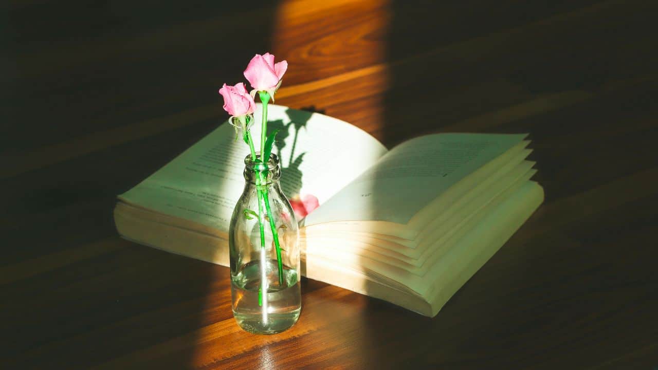 8 Tips Membangun Konflik pada Novel yang Perlu Dipahami Penulis