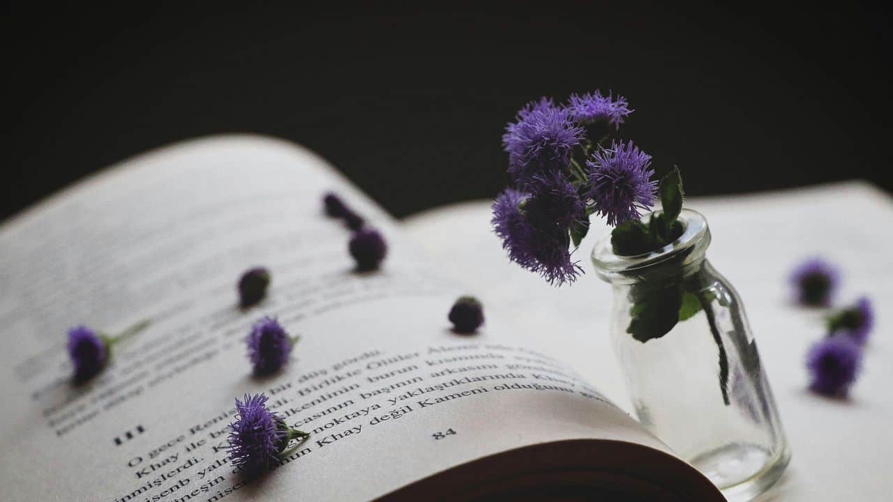 8 Tips Membangun Konflik pada Novel yang Perlu Dipahami Penulis