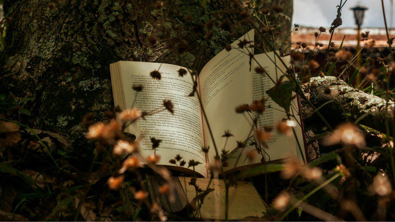 5 Unsur dalam Alur Cerita Novel atau Cerpen