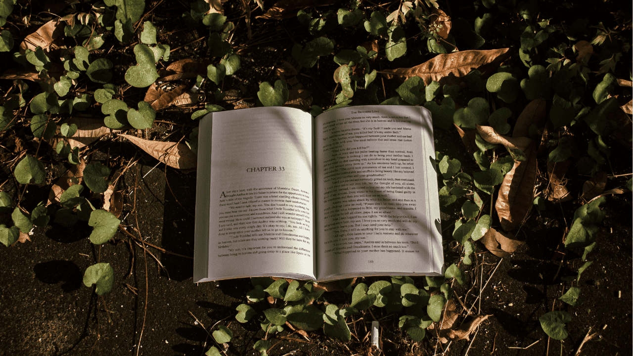 Genre Buku Paling Laris di Pasaran Saat Ini, Adakah Favoritmu