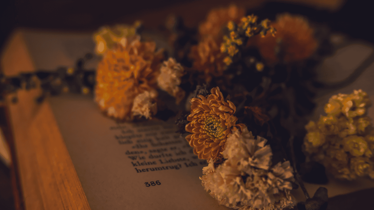 Genre Karya Sastra yang Jarang Dibahas, Mana Favoritmu