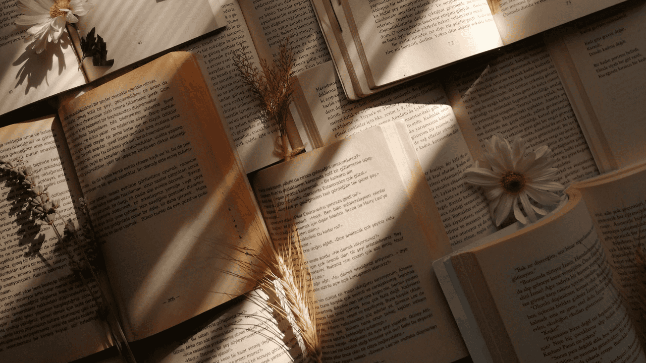 Genre Karya Sastra yang Jarang Dibahas, Mana Favoritmu
