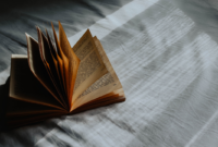 Contoh Nilai Sosial, Religi, dan Budaya dalam Novel